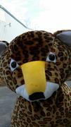 Rides- Animal Rides- Animal