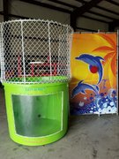 Dunk Tank Green Dunk Tank Green
